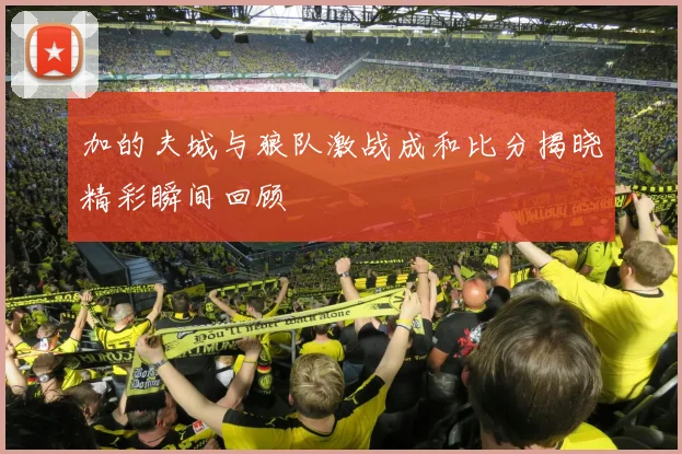 加的夫城与狼队激战成和比分揭晓精彩瞬间回顾