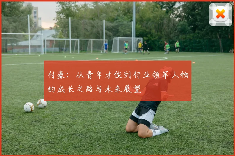 付豪：从青年才俊到行业领军人物的成长之路与未来展望
