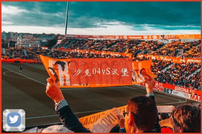 沙克04vS汉堡