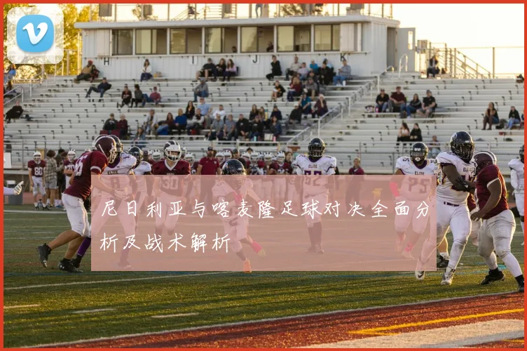 尼日利亚与喀麦隆足球对决全面分析及战术解析