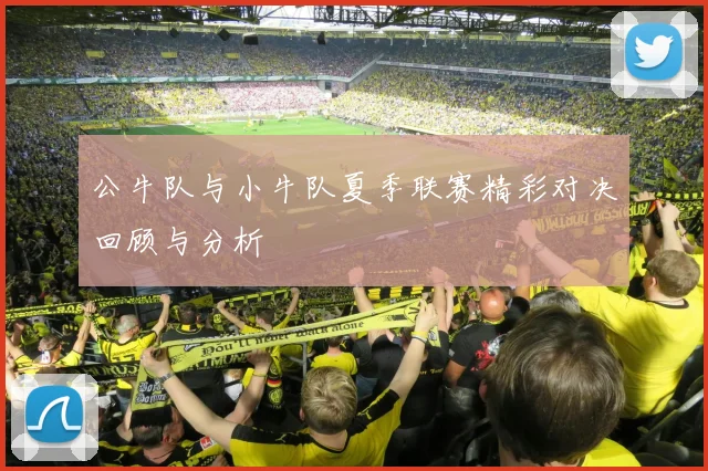 公牛队与小牛队夏季联赛精彩对决回顾与分析