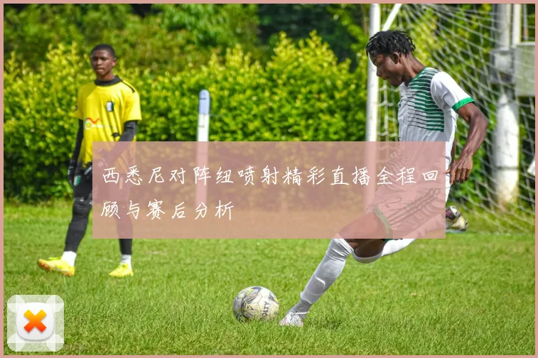 西悉尼对阵纽喷射精彩直播全程回顾与赛后分析