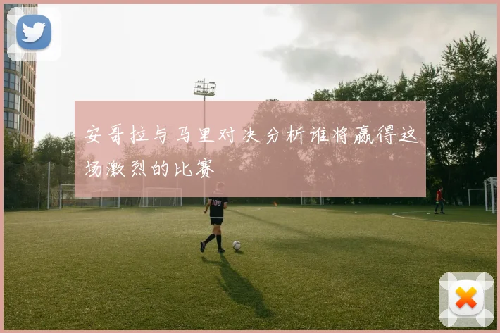 安哥拉与马里对决分析谁将赢得这场激烈的比赛