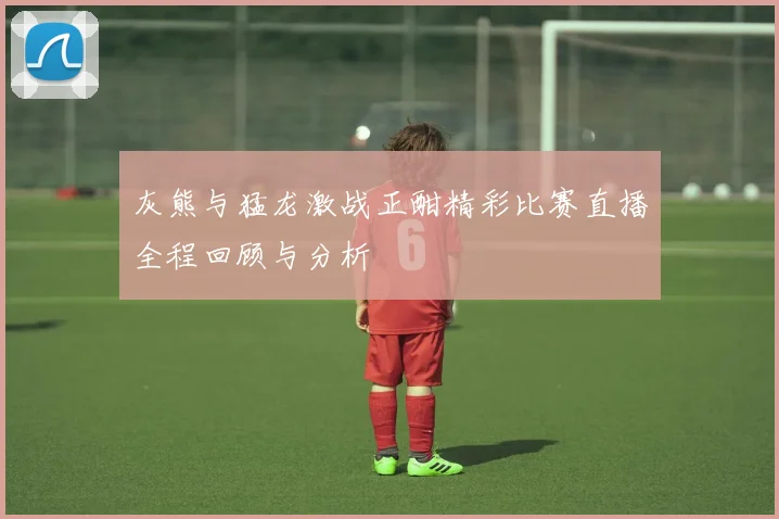 灰熊与猛龙激战正酣精彩比赛直播全程回顾与分析